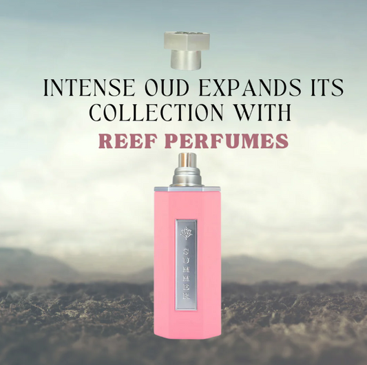 🌸 Reef Summer Rose (Summer Pink)